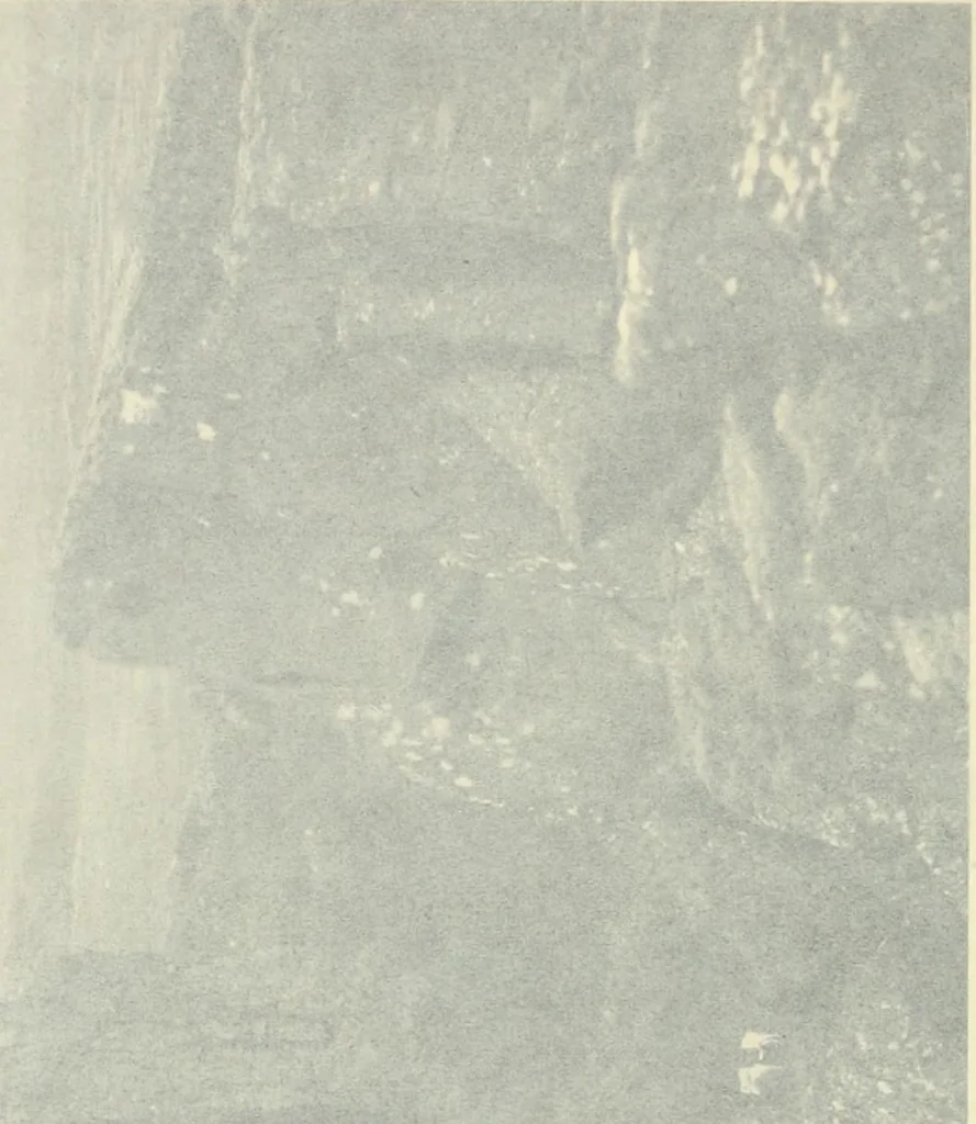 An illustration from Peasant art in Sweden, Lapland and Iceland, 1910, leaf 235