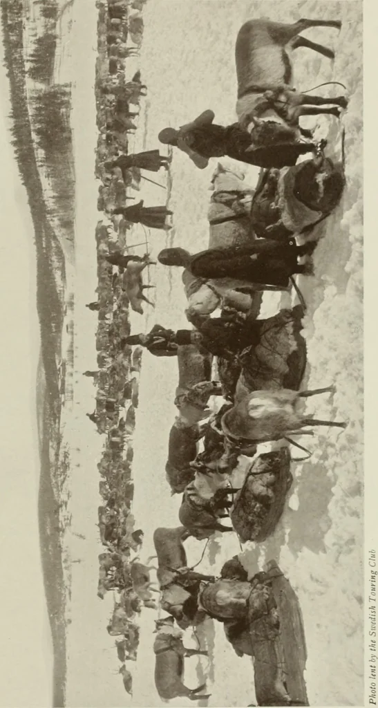 An illustration from Peasant art in Sweden, Lapland and Iceland;, 1910, leaf 178