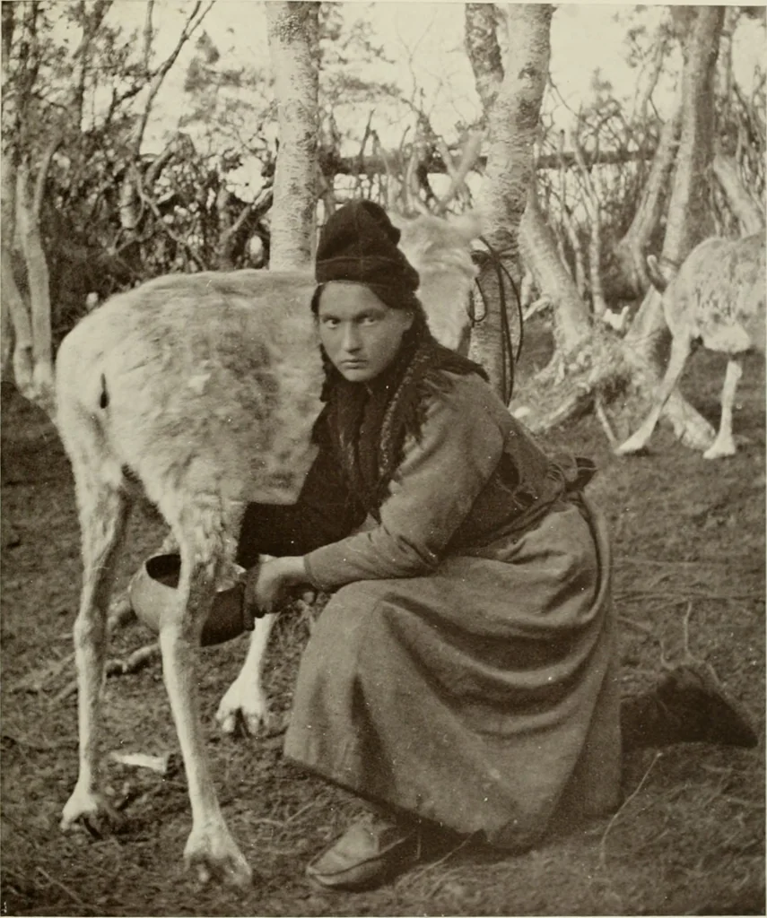 An illustration from Peasant art in Sweden, Lapland and Iceland;, 1910, leaf 182