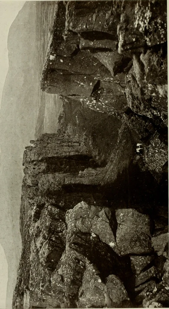 An illustration from Peasant art in Sweden, Lapland and Iceland;, 1910, leaf 201