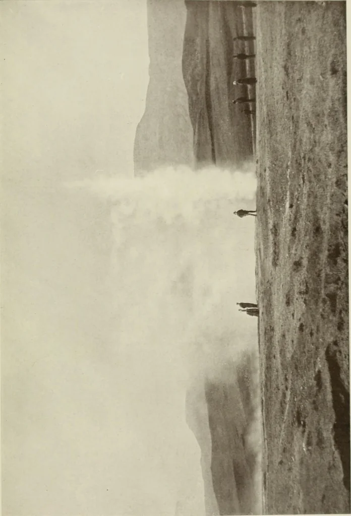 An illustration from Peasant art in Sweden, Lapland and Iceland;, 1910, leaf 212