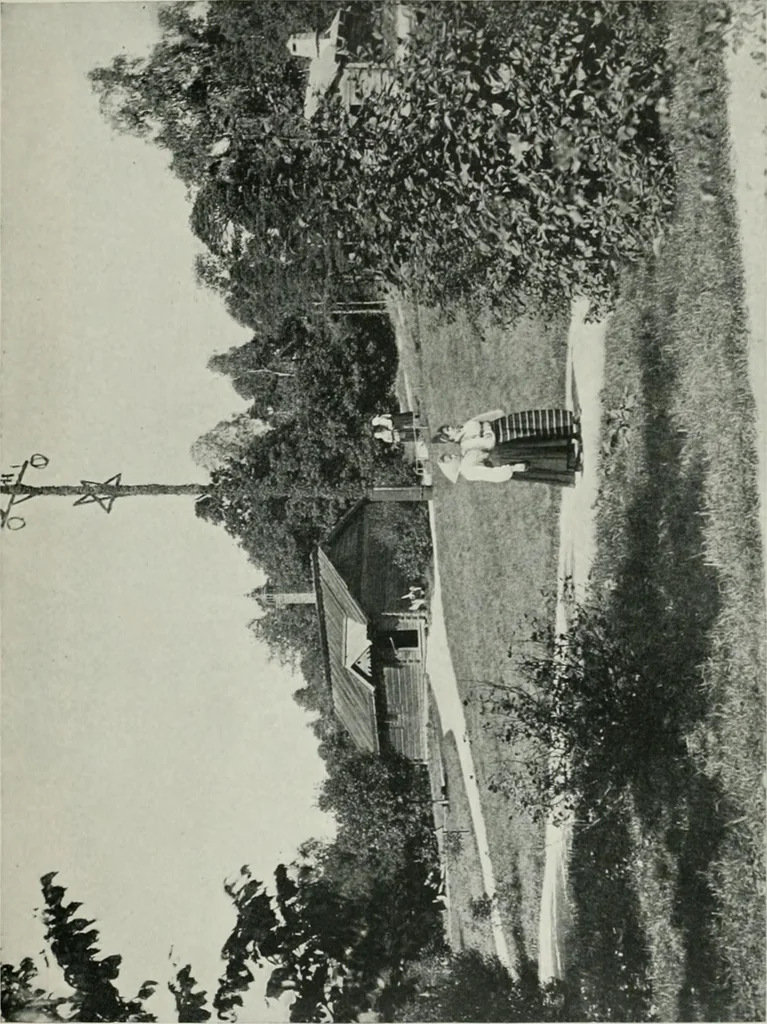 An illustration from Peasant art in Sweden, Lapland and Iceland;, 1910, leaf 58
