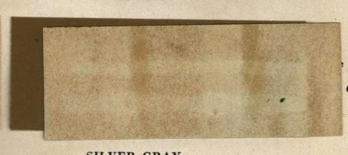 An illustration from Pee Gee mastic paint : highest grade ready-mixed house paint, 1910, leaf 3