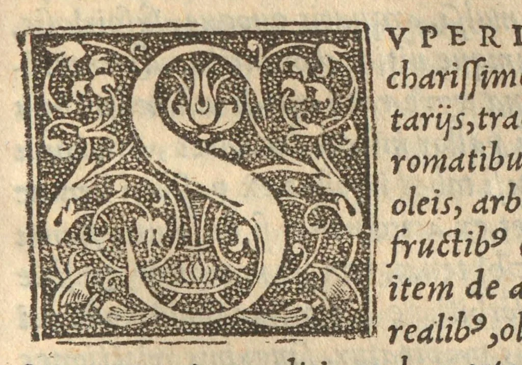 An illustration from Pedanii Dioscoridis Anazarbei De medica materia libri sex, Ioanne Ruellio Suessionensi interprete, nunc primum ab ipso Ruellio recogniti, & suo nitori restituti, 1537, leaf 255