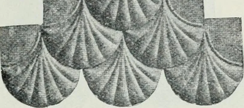 An illustration from Pedlar fireproofing products : catalogue no. 19R. --, 1911, leaf 28