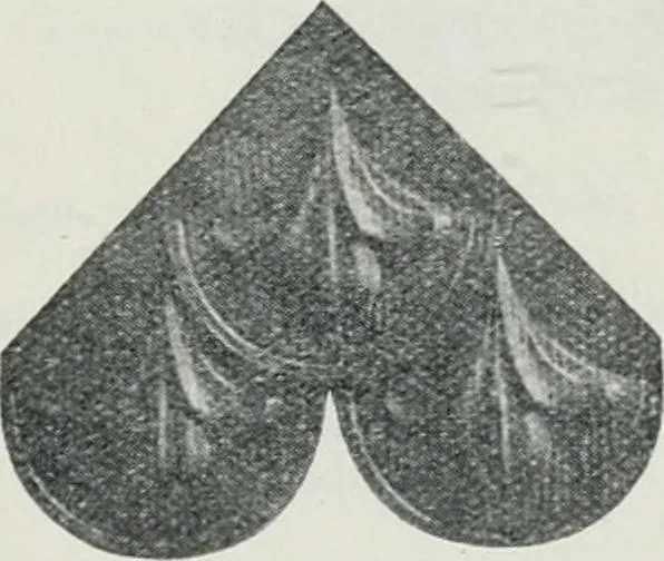 An illustration from Pedlar fireproofing products : catalogue no. 19R. --, 1911, leaf 28