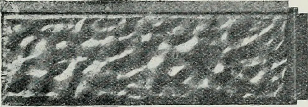 An illustration from Pedlar fireproofing products : catalogue no. 19R. --, 1911, leaf 58