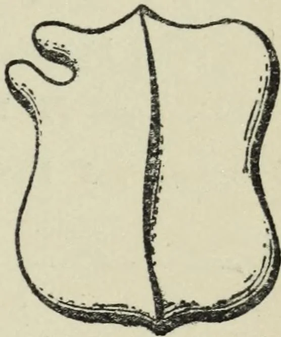 An illustration from Peeps at heraldry, 1912, leaf 26