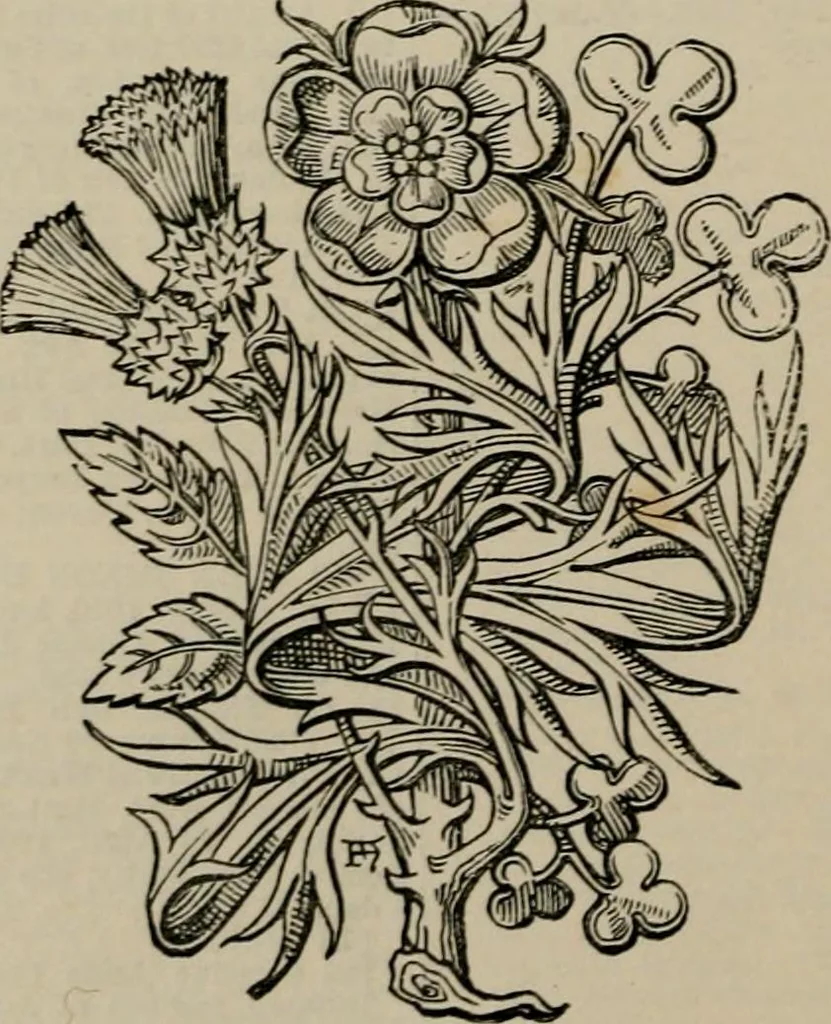 An illustration from The peerage, baronetage, and knightage of the British Empire : for 1882, 1883, leaf 233
