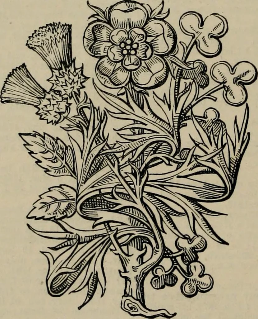 An illustration from The peerage, baronetage, and knightage of the British Empire : for 1882, 1883, leaf 373