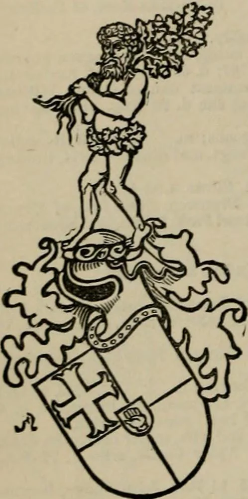 An illustration from The peerage, baronetage, and knightage of the British Empire : for 1882, 1883, leaf 465