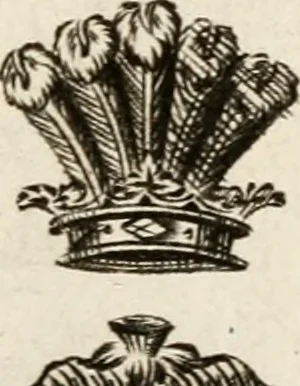 An illustration from The peerage of Ireland : or, A genealogical history of the present nobility of that kingdom, 1789, leaf 14