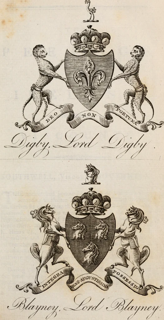 An illustration from The peerage of Ireland : or, A genealogical history of the present nobility of that kingdom, 1789, leaf 24