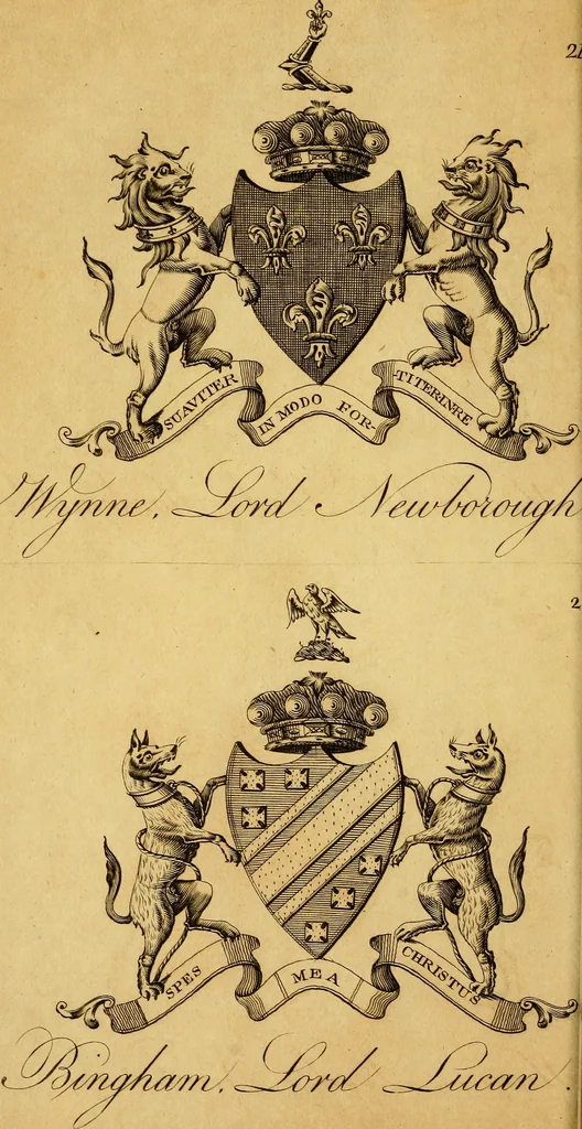 An illustration from The peerage of Ireland : or, A genealogical history of the present nobility of that kingdom, 1789, leaf 23