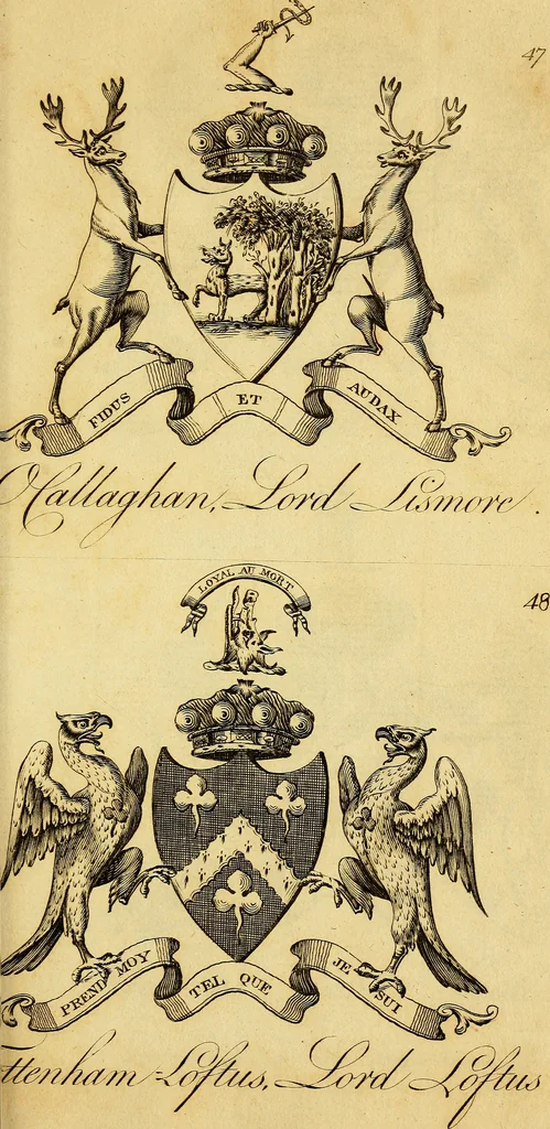 An illustration from The peerage of Ireland : or, A genealogical history of the present nobility of that kingdom, 1789, leaf 48