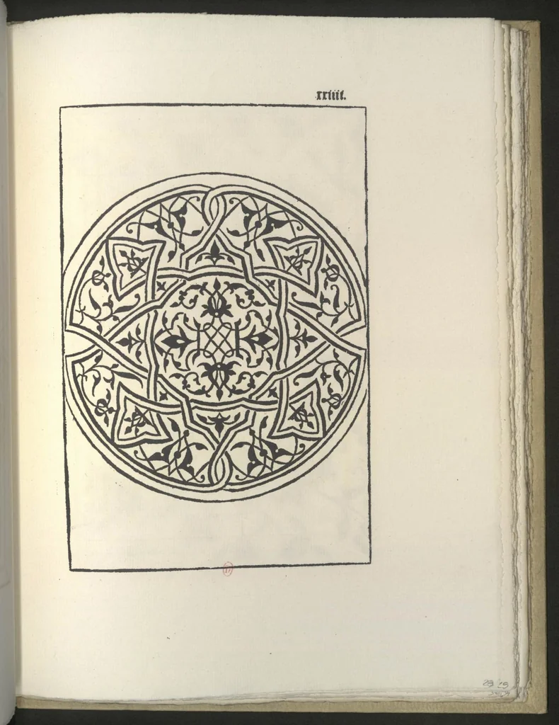 An illustration from La fleur de la science de pourtraicture Et patrons de broderie. facon arabicque et ytalique, 1530, leaf 35