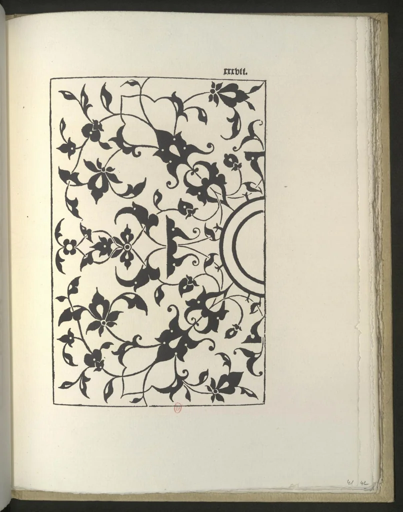 An illustration from La fleur de la science de pourtraicture Et patrons de broderie. facon arabicque et ytalique, 1530, leaf 48
