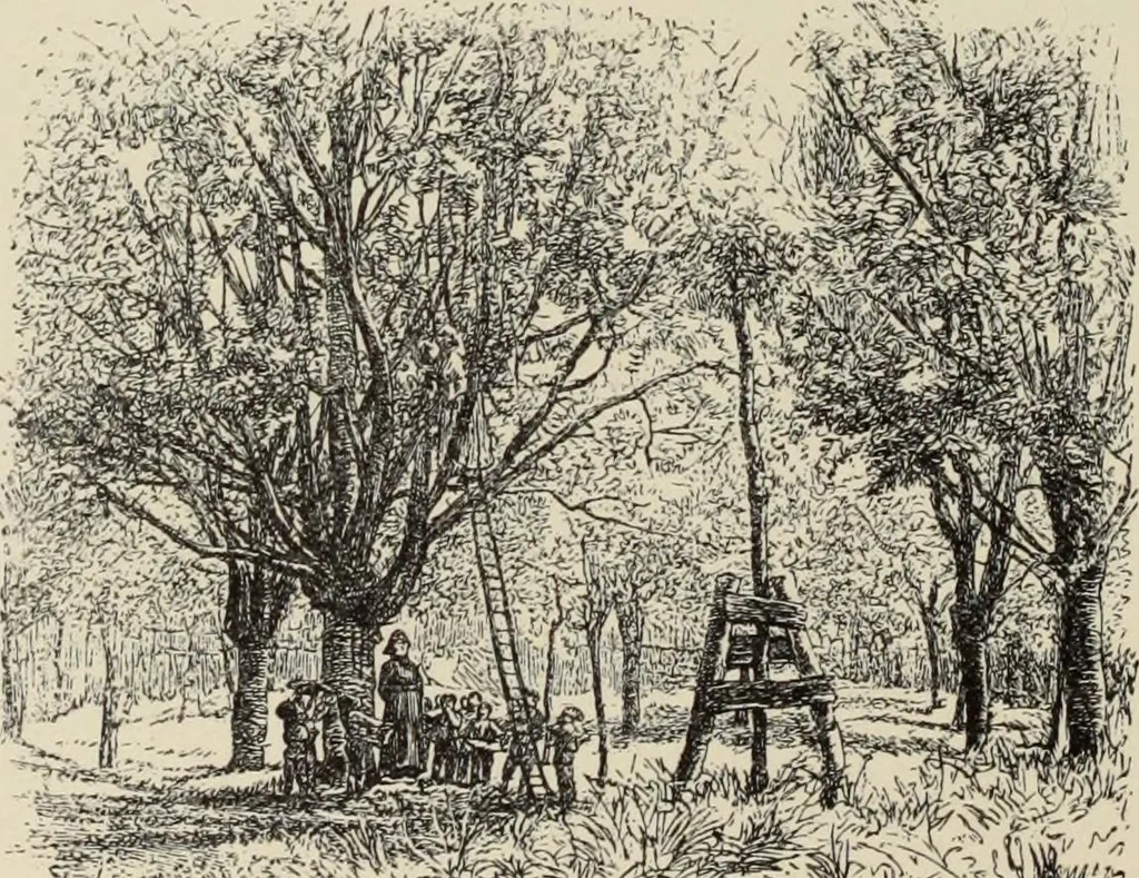 An illustration from Pen drawing and pen draughtsmen : their work and their methods : a study of the art today with technical suggestions, 1920, leaf 109