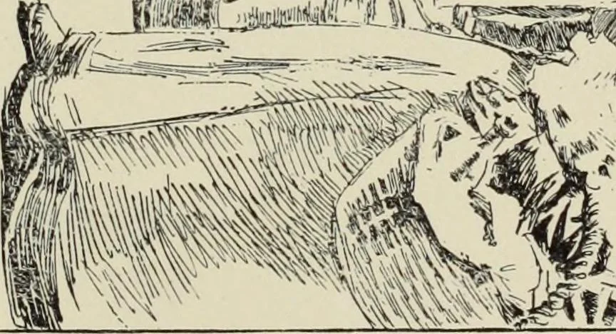An illustration from Pen drawing and pen draughtsmen : their work and their methods : a study of the art today with technical suggestions, 1920, leaf 118