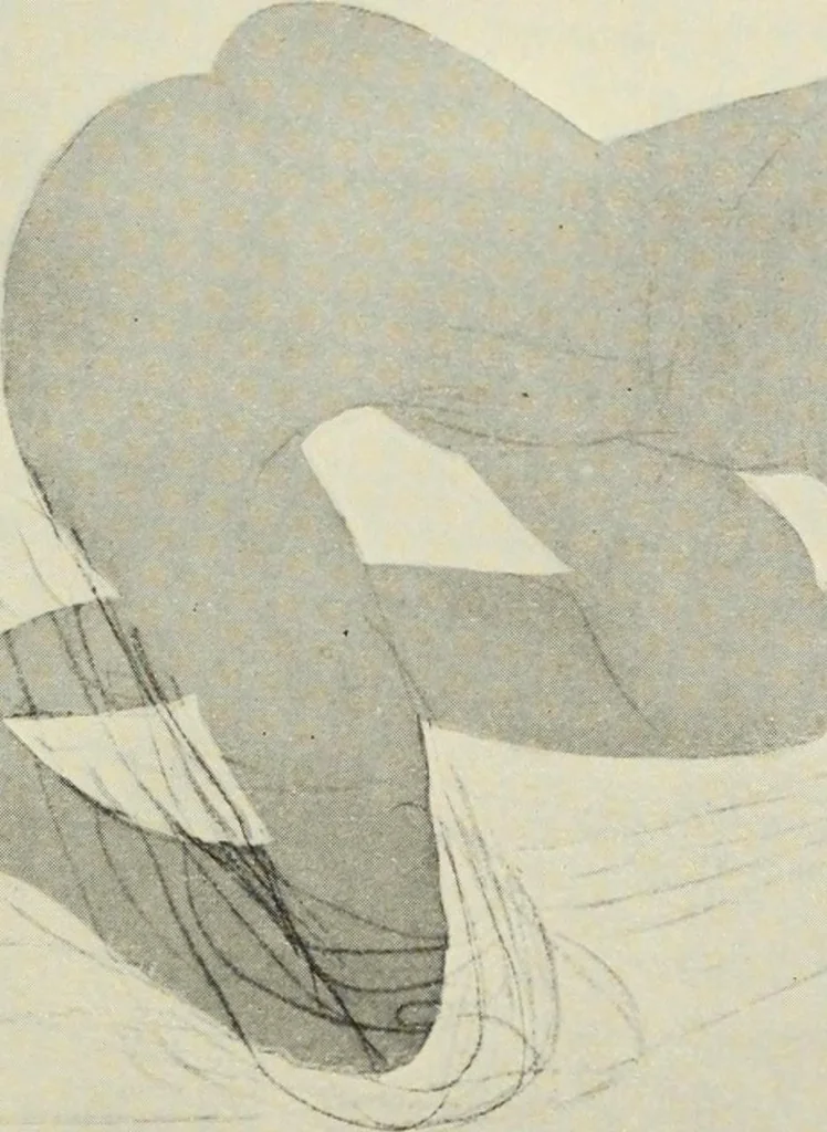 An illustration from Pen drawing and pen draughtsmen : their work and their methods : a study of the art today with technical suggestions, 1920, leaf 132