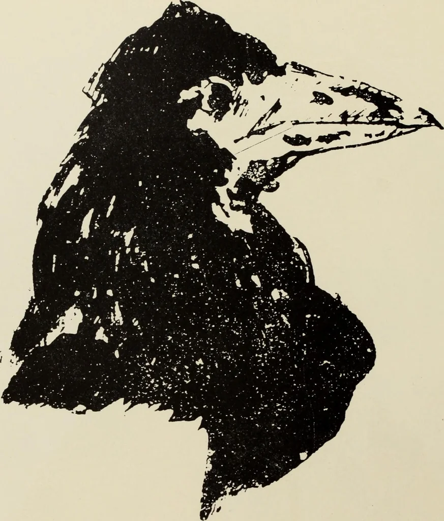 An illustration from Pen drawing and pen draughtsmen : their work and their methods : a study of the art today with technical suggestions, 1920, leaf 149