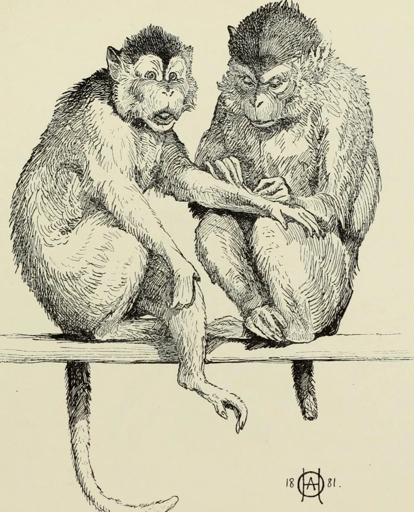 An illustration from Pen drawing and pen draughtsmen : their work and their methods : a study of the art today with technical suggestions, 1920, leaf 228