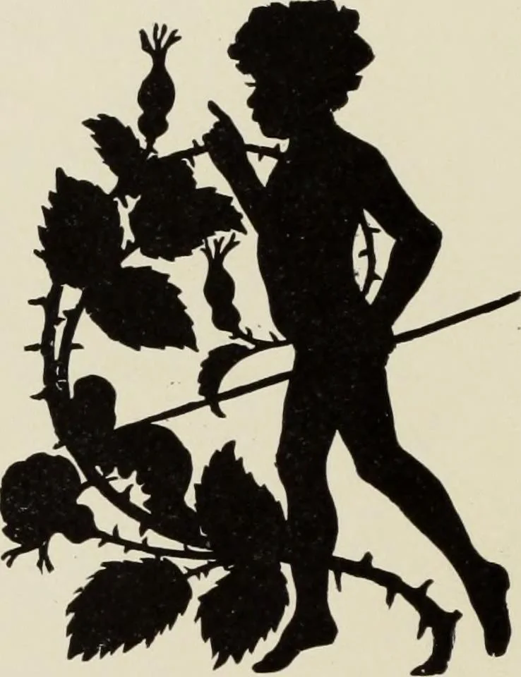 An illustration from Pen drawing and pen draughtsmen : their work and their methods : a study of the art today with technical suggestions, 1920, leaf 229
