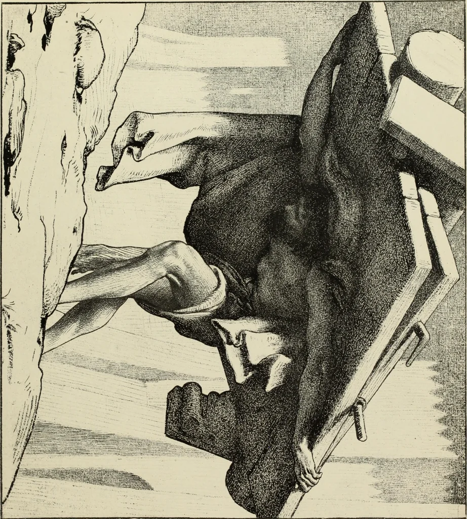 An illustration from Pen drawing and pen draughtsmen : their work and their methods : a study of the art today with technical suggestions, 1920, leaf 232