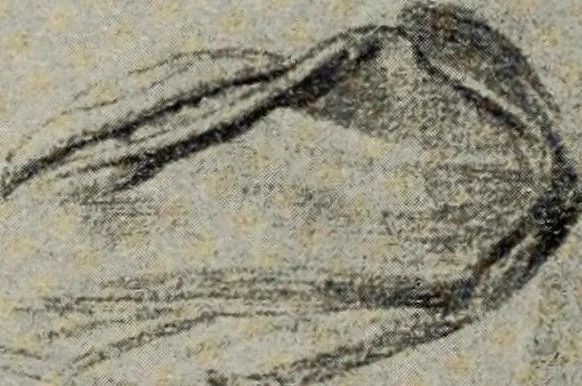 An illustration from Pen drawing and pen draughtsmen : their work and their methods : a study of the art today with technical suggestions, 1920, leaf 243