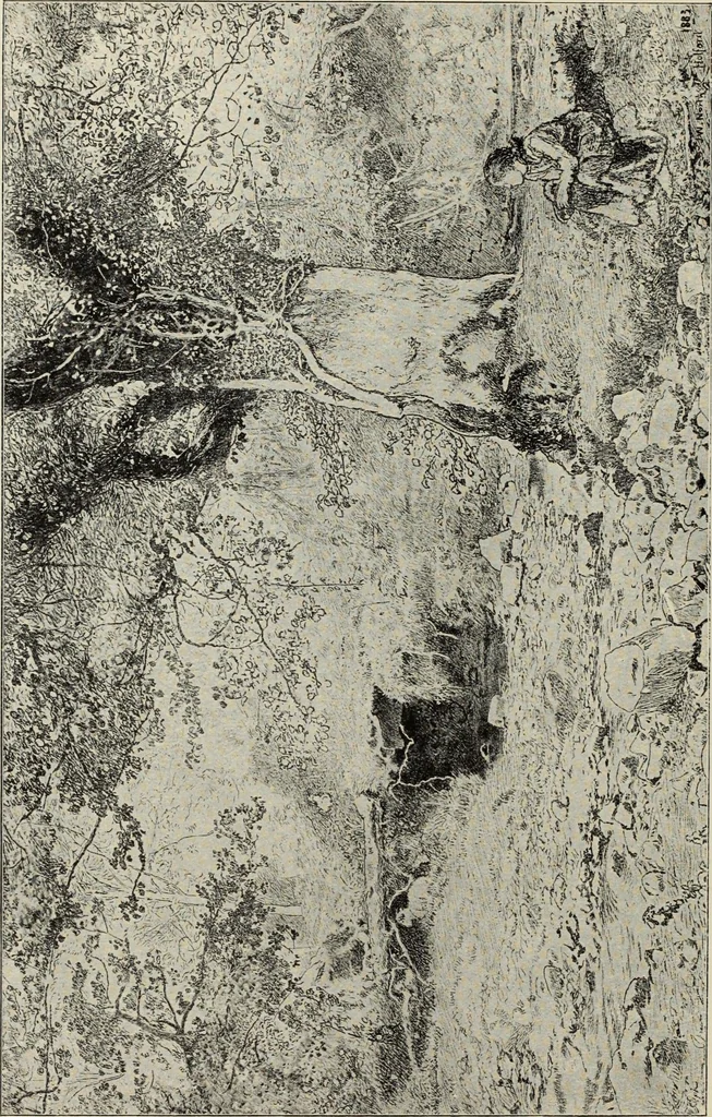An illustration from Pen drawing and pen draughtsmen : their work and their methods : a study of the art today with technical suggestions, 1920, leaf 255
