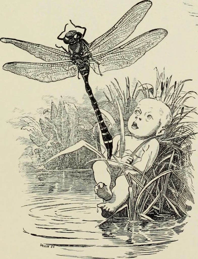 An illustration from Pen drawing and pen draughtsmen : their work and their methods : a study of the art today with technical suggestions, 1920, leaf 300