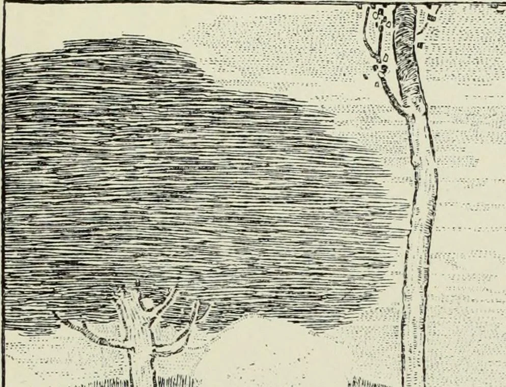 An illustration from Pen drawing and pen draughtsmen : their work and their methods : a study of the art today with technical suggestions, 1920, leaf 372