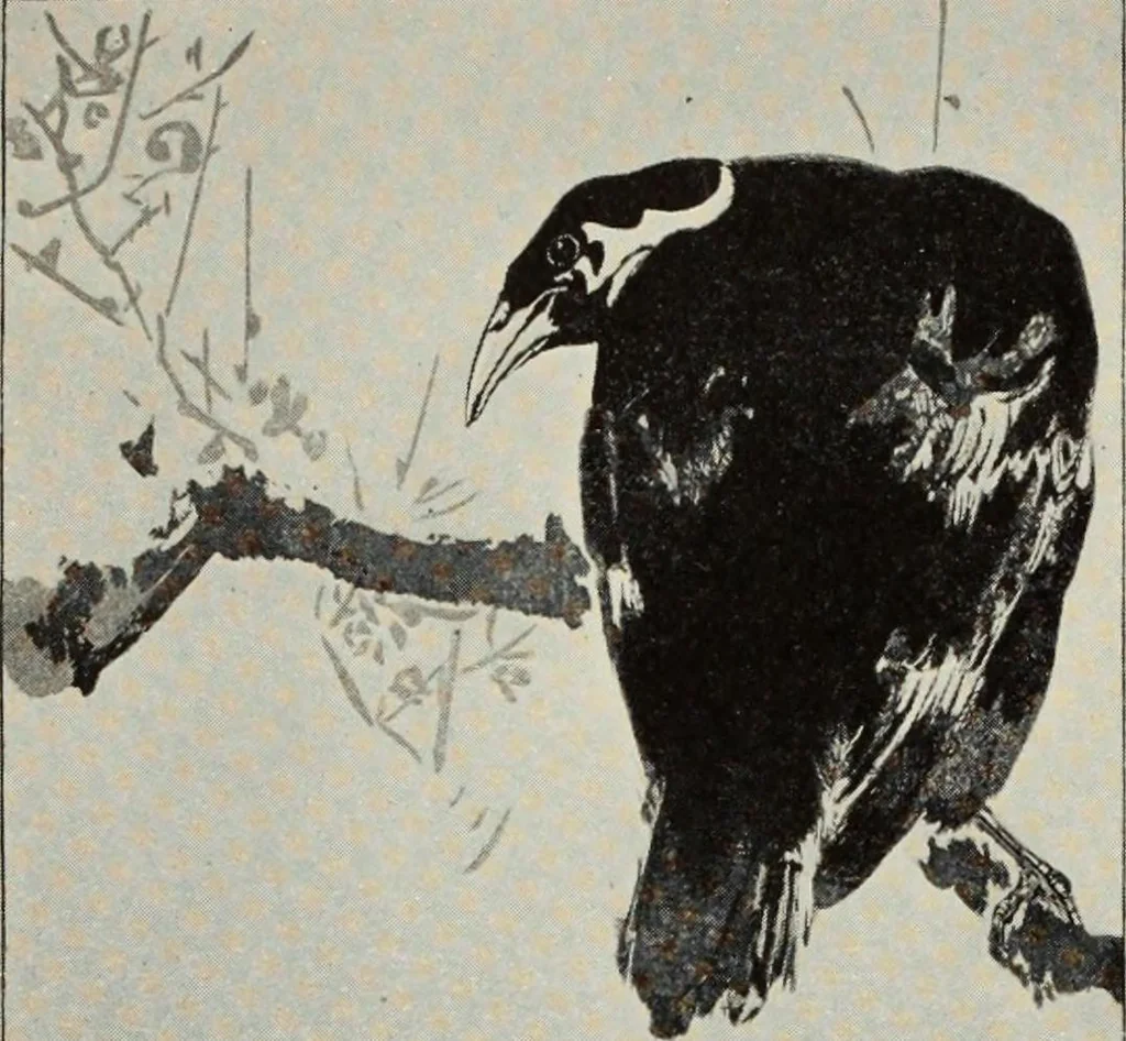 An illustration from Pen drawing and pen draughtsmen : their work and their methods : a study of the art today with technical suggestions, 1920, leaf 393