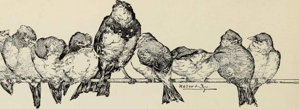An illustration from Pen drawing and pen draughtsmen : their work and their methods : a study of the art today with technical suggestions, 1920, leaf 461