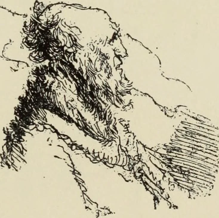 An illustration from Pen drawing and pen draughtsmen : their work and their methods : a study of the art today with technical suggestions, 1920, leaf 62