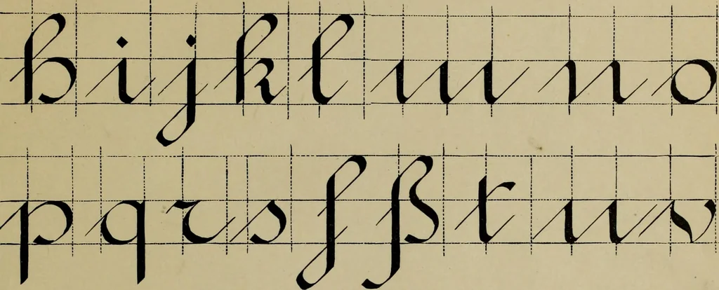 An illustration from The penman's hand-book : for penmen and students, embracing a history of writing ... many complete alphabets ... ; Also, Chapters on teaching penmanship, business letter writing, off-hand flourishing ... etc., 1883, leaf 100