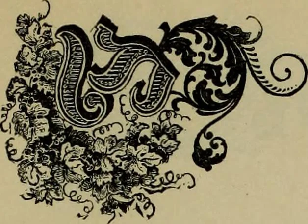 An illustration from The penman's hand-book : for penmen and students, embracing a history of writing ... many complete alphabets ... ; Also, Chapters on teaching penmanship, business letter writing, off-hand flourishing ... etc., 1883, leaf 106