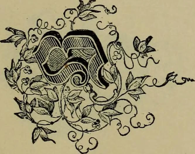 An illustration from The penman's hand-book : for penmen and students, embracing a history of writing ... many complete alphabets ... ; Also, Chapters on teaching penmanship, business letter writing, off-hand flourishing ... etc., 1883, leaf 106