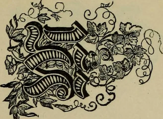 An illustration from The penman's hand-book : for penmen and students, embracing a history of writing ... many complete alphabets ... ; Also, Chapters on teaching penmanship, business letter writing, off-hand flourishing ... etc., 1883, leaf 106