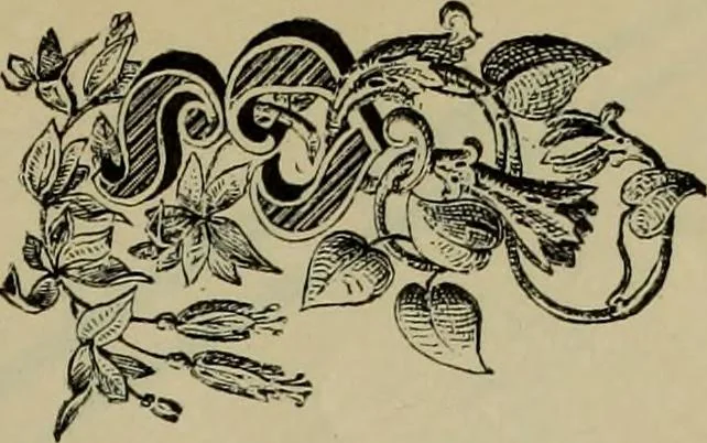 An illustration from The penman's hand-book : for penmen and students, embracing a history of writing ... many complete alphabets ... ; Also, Chapters on teaching penmanship, business letter writing, off-hand flourishing ... etc., 1883, leaf 108