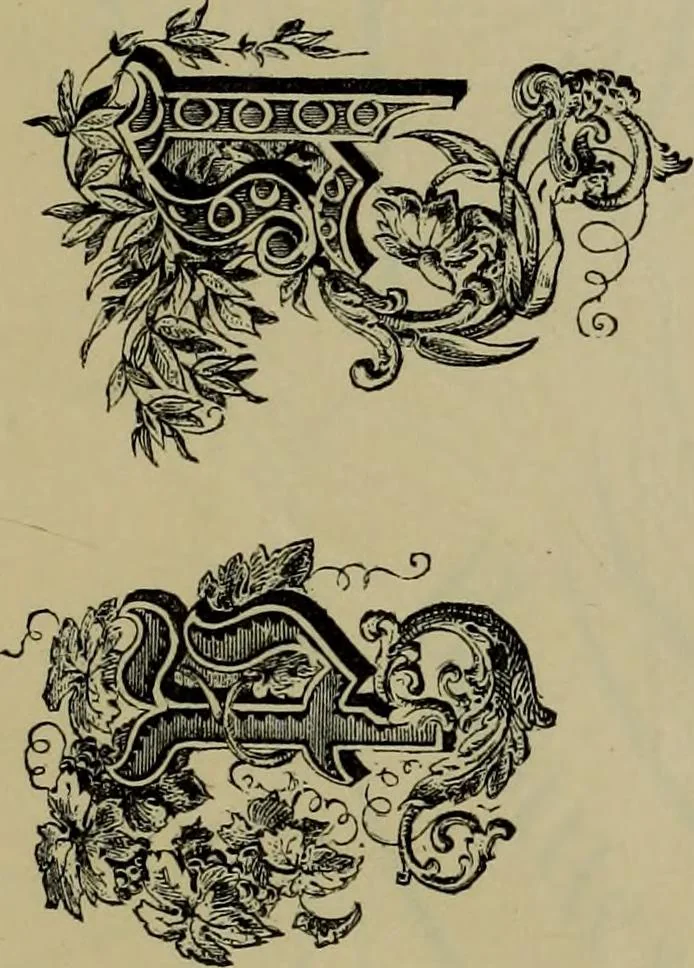 An illustration from The penman's hand-book : for penmen and students, embracing a history of writing ... many complete alphabets ... ; Also, Chapters on teaching penmanship, business letter writing, off-hand flourishing ... etc., 1883, leaf 108