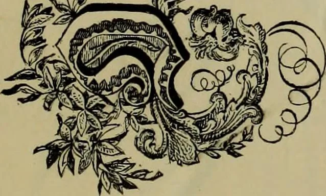 An illustration from The penman's hand-book : for penmen and students, embracing a history of writing ... many complete alphabets ... ; Also, Chapters on teaching penmanship, business letter writing, off-hand flourishing ... etc., 1883, leaf 108