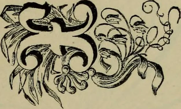 An illustration from The penman's hand-book : for penmen and students, embracing a history of writing ... many complete alphabets ... ; Also, Chapters on teaching penmanship, business letter writing, off-hand flourishing ... etc., 1883, leaf 108