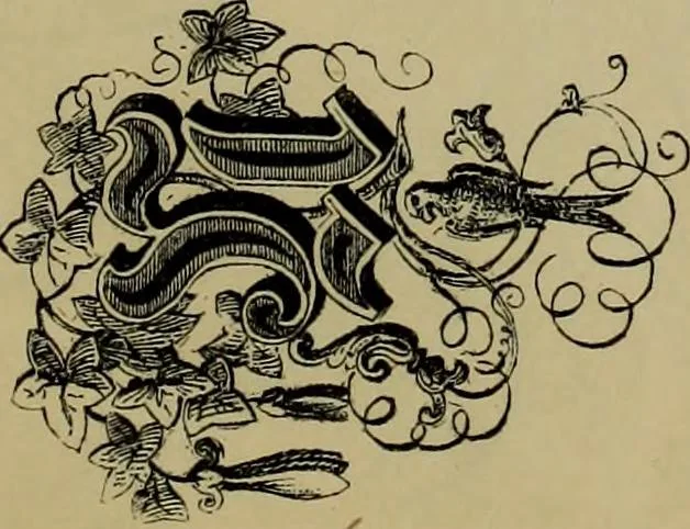 An illustration from The penman's hand-book : for penmen and students, embracing a history of writing ... many complete alphabets ... ; Also, Chapters on teaching penmanship, business letter writing, off-hand flourishing ... etc., 1883, leaf 108