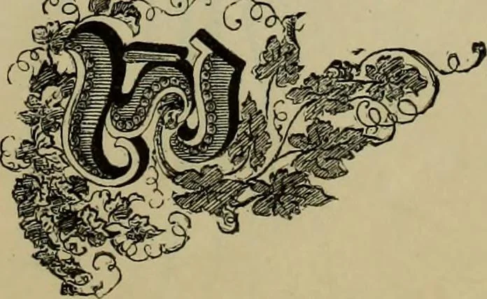 An illustration from The penman's hand-book : for penmen and students, embracing a history of writing ... many complete alphabets ... ; Also, Chapters on teaching penmanship, business letter writing, off-hand flourishing ... etc., 1883, leaf 108