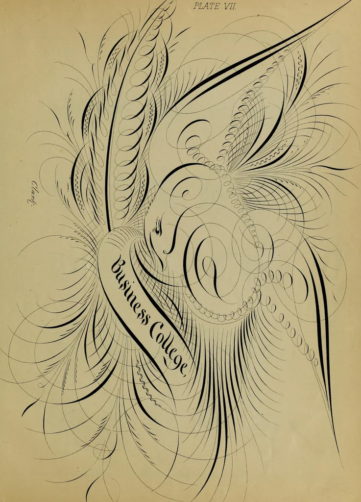 An illustration from The penman's hand-book : for penmen and students, embracing a history of writing ... many complete alphabets ... ; Also, Chapters on teaching penmanship, business letter writing, off-hand flourishing ... etc., 1883, leaf 110