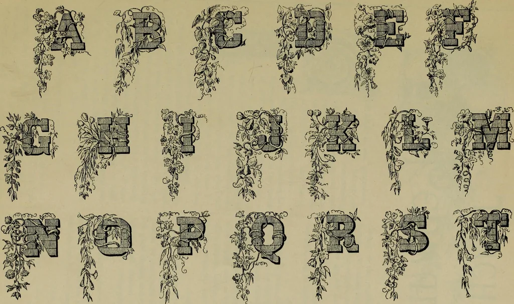 An illustration from The penman's hand-book : for penmen and students, embracing a history of writing ... many complete alphabets ... ; Also, Chapters on teaching penmanship, business letter writing, off-hand flourishing ... etc., 1883, leaf 118