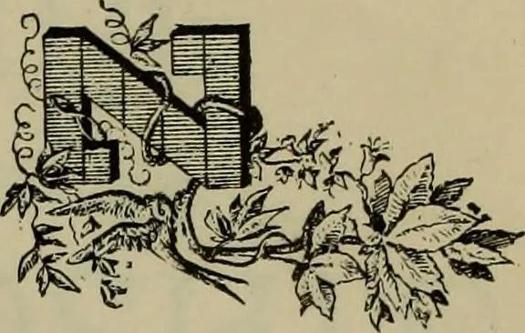 An illustration from The penman's hand-book : for penmen and students, embracing a history of writing ... many complete alphabets ... ; Also, Chapters on teaching penmanship, business letter writing, off-hand flourishing ... etc., 1883, leaf 118