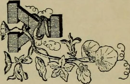 An illustration from The penman's hand-book : for penmen and students, embracing a history of writing ... many complete alphabets ... ; Also, Chapters on teaching penmanship, business letter writing, off-hand flourishing ... etc., 1883, leaf 118