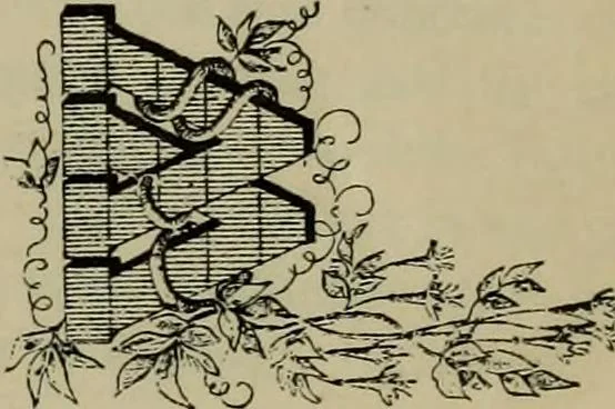 An illustration from The penman's hand-book : for penmen and students, embracing a history of writing ... many complete alphabets ... ; Also, Chapters on teaching penmanship, business letter writing, off-hand flourishing ... etc., 1883, leaf 118